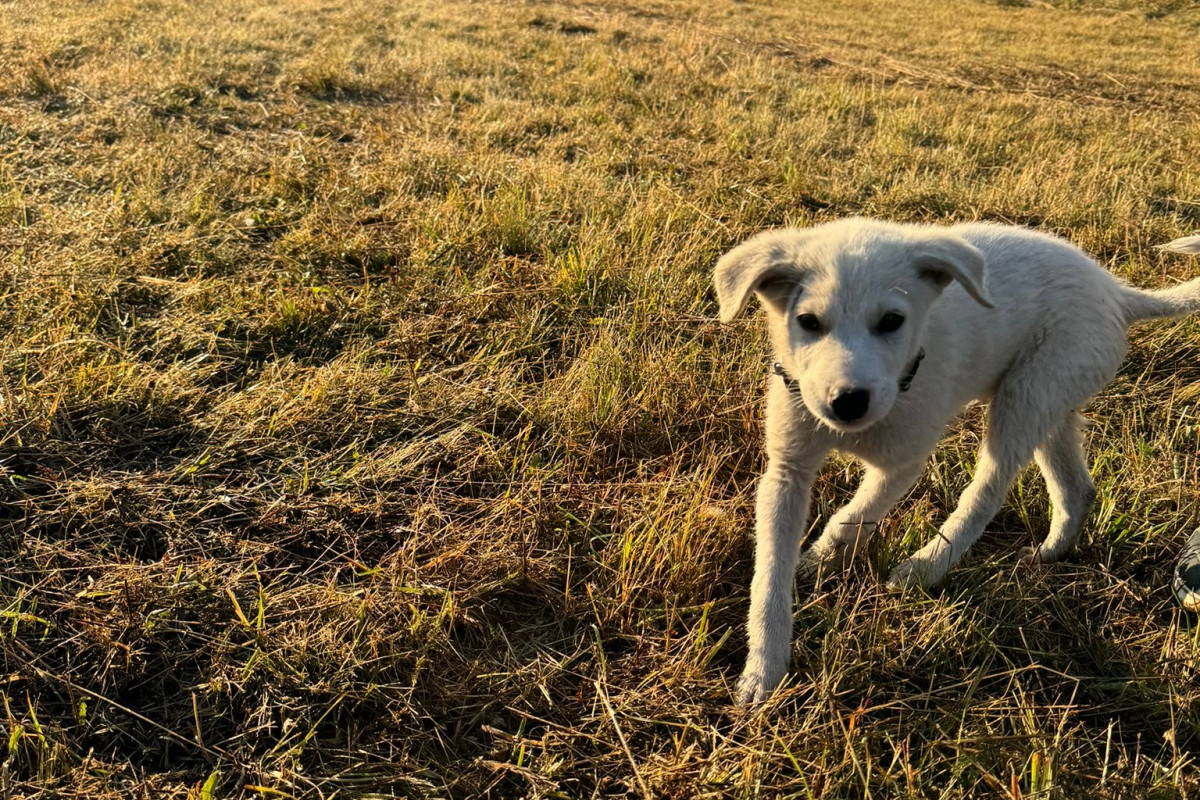 Unsere Seelenverwandten